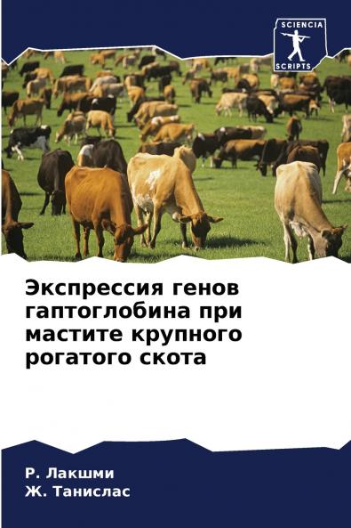 ?????????? ????? ???????????? ??? ??????? ???????? ???????? ?????