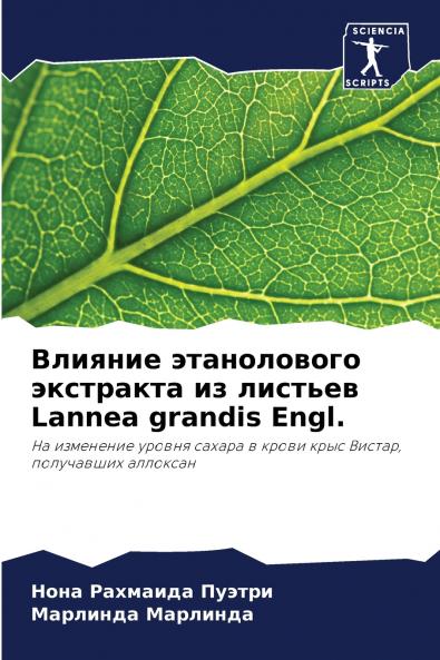 ??????? ??????????? ????????? ?? ??????? Lannea grandis Engl.