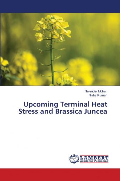Upcoming Terminal Heat Stress and Brassica Juncea