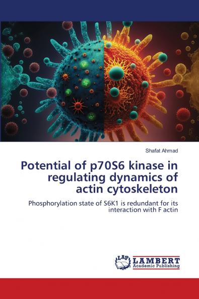 Potential of p70S6 kinase in regulating dynamics of actin cytoskeleton