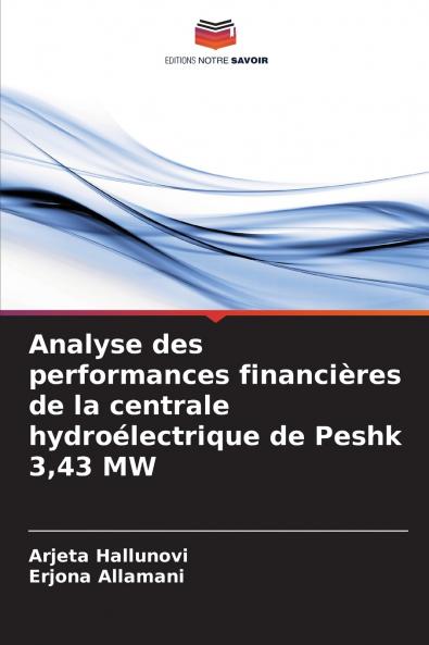 Analyse des performances financières de la centrale hydroélectrique de Peshk 343 MW