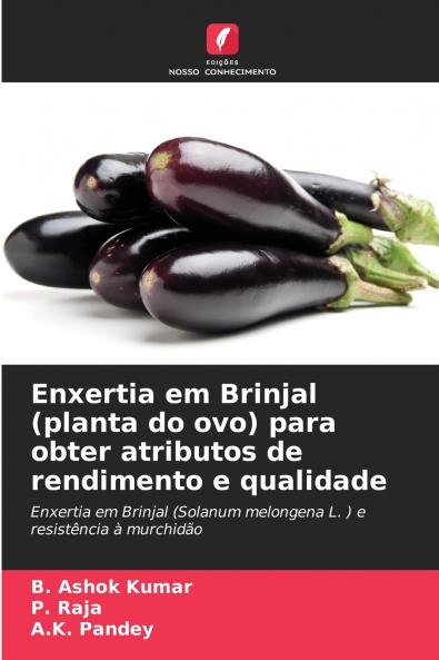 Enxertia em Brinjal (planta do ovo) para obter atributos de rendimento e qualidade
