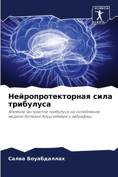 ????????????????? ???? ?????????