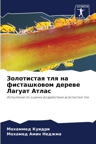 ?????????? ??? ?? ??????????? ?????? ?????? ?????