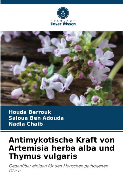 Antimykotische Kraft von Artemisia herba alba und Thymus vulgaris