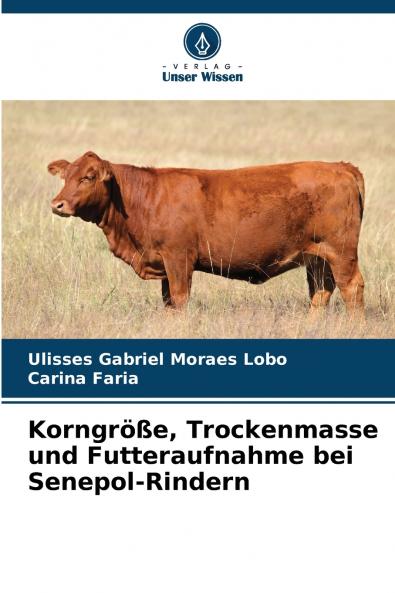 Korngröße Trockenmasse und Futteraufnahme bei Senepol-Rindern