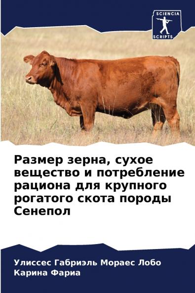 ?????? ????? ????? ???????? ? ??????????? ??????? ??? ???????? ???????? ????? ?????? ???????