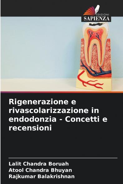 Rigenerazione e rivascolarizzazione in endodonzia - Concetti e recensioni