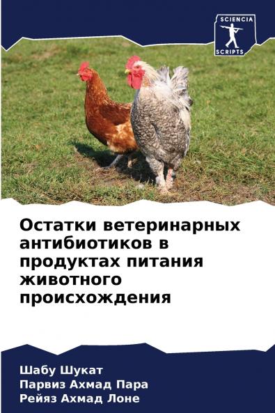 ??????? ???????????? ???????????? ? ????????? ??????? ????????? ?????????????