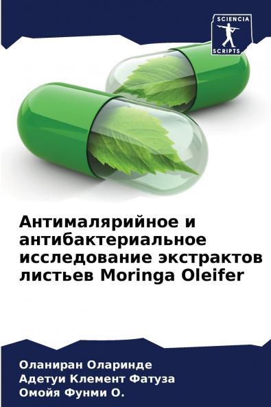 ?????????????? ? ????????????????? ???????????? ?????????? ??????? Moringa Oleifer