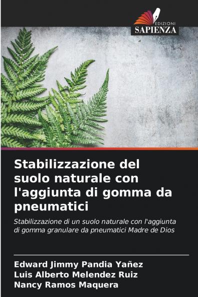Stabilizzazione del suolo naturale con l'aggiunta di gomma da pneumatici