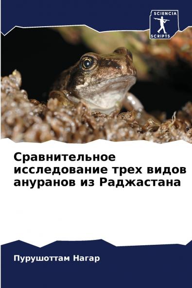 ????????????? ???????????? ???? ????? ???????? ?? ??????????