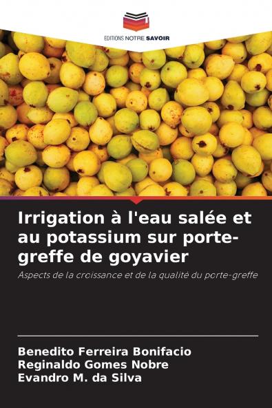 Irrigation à l'eau salée et au potassium sur porte-greffe de goyavier