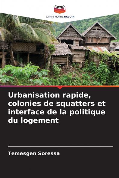 Urbanisation rapide colonies de squatters et interface de la politique du logement