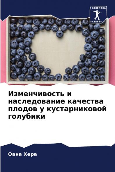 ???????????? ? ???????????? ???????? ?????? ? ????????????? ????????