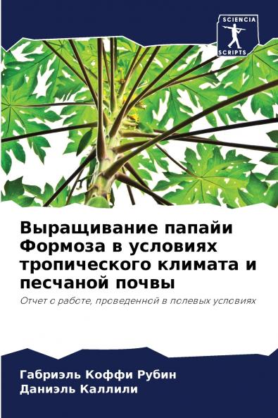 Выращивание папайи Формоза в условиях тропического климата и песчаной почвы