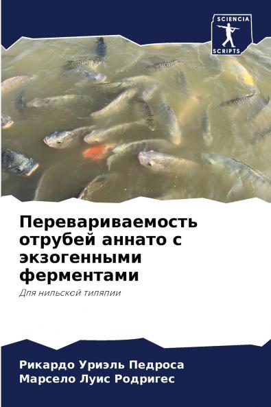 ???????????????? ??????? ?????? ? ??????????? ??????????