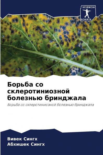 ?????? ?? ??????????????? ???????? ?????????