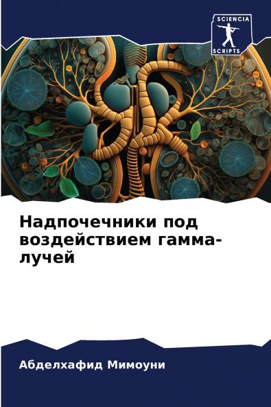 ???????????? ??? ???????????? ?????-?????