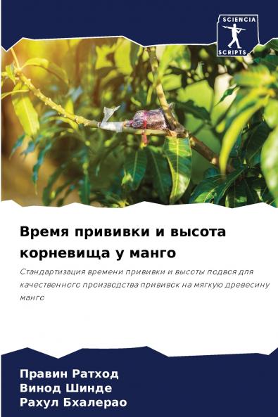 ????? ???????? ? ?????? ????????? ? ?????