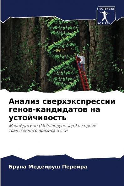 ?????? ??????????????? ?????-?????????? ?? ????????????