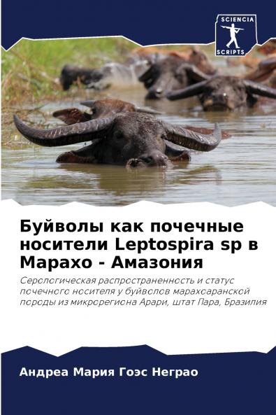 ??????? ??? ???????? ???????? Leptospira sp ? ?????? - ????????