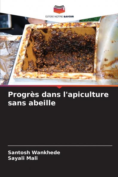 Progrès dans l'apiculture sans abeille