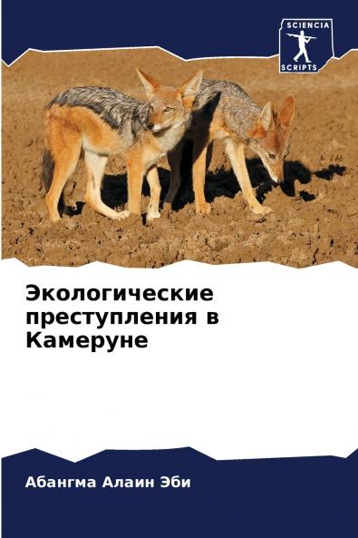 ????????????? ???????????? ? ????????