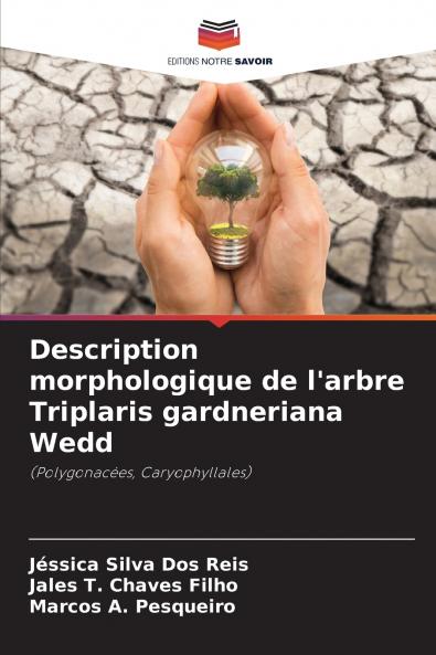 Description morphologique de l'arbre Triplaris gardneriana Wedd
