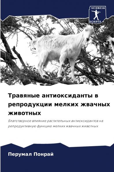 ???????? ????????????? ? ??????????? ?????? ??????? ????????