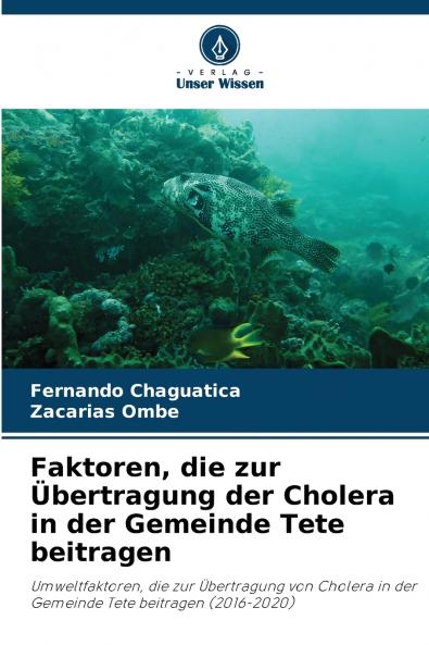 Faktoren die zur Übertragung der Cholera in der Gemeinde Tete beitragen