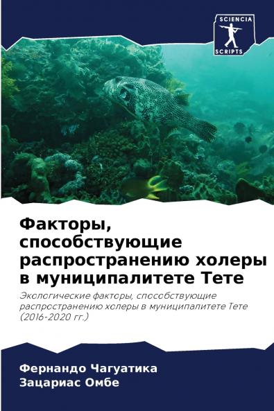 ??????? ?????????????? ??????????????? ?????? ? ?????????????? ????