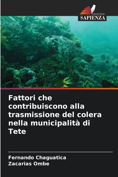 Fattori che contribuiscono alla trasmissione del colera nella municipalità di Tete
