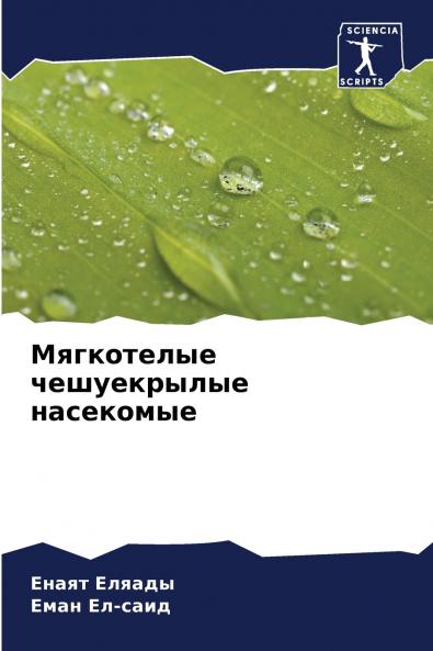 ?????????? ??????????? ?????????