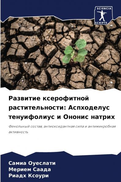 ???????? ??????????? ??????????????