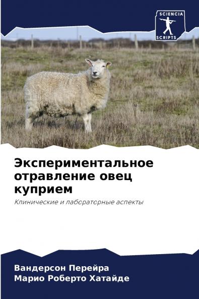 ????????????????? ?????????? ???? ???????