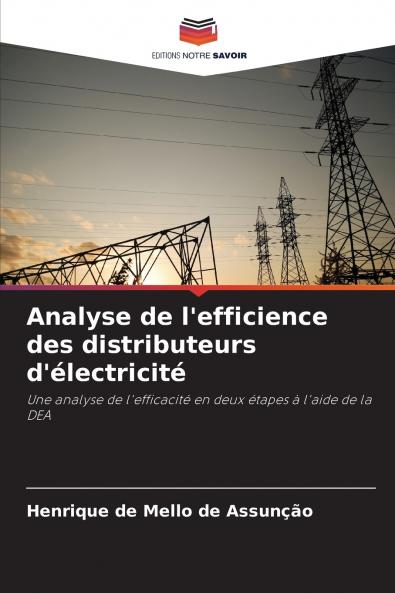 Analyse de l'efficience des distributeurs d'électricité