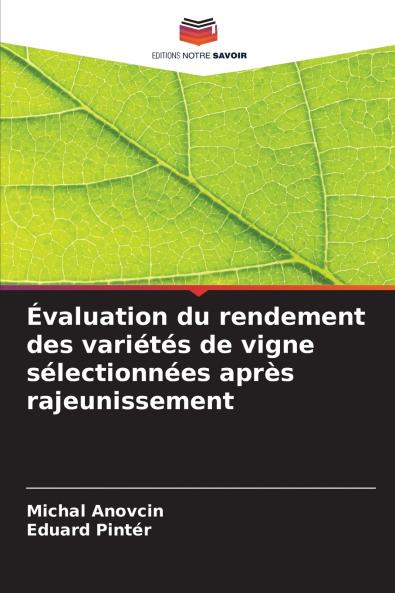 Évaluation du rendement des variétés de vigne sélectionnées après rajeunissement