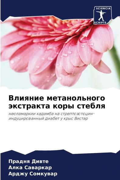 ??????? ???????????? ????????? ???? ??????