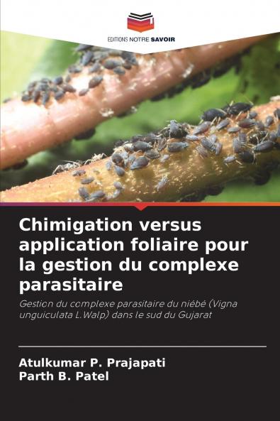 Chimigation versus application foliaire pour la gestion du complexe parasitaire