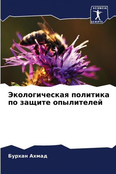 ????????????? ???????? ?? ?????? ??????????