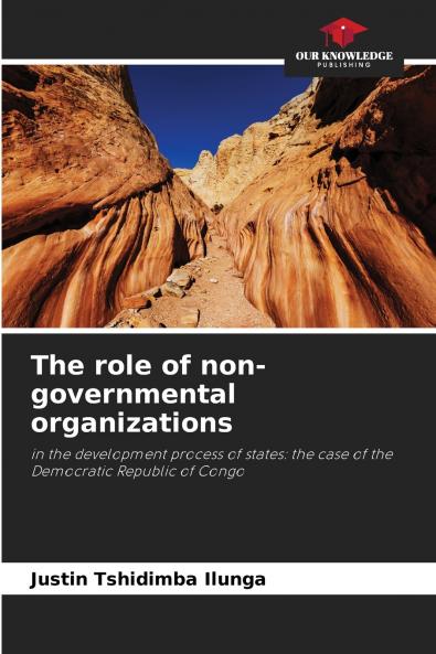 The role of non-governmental organizations