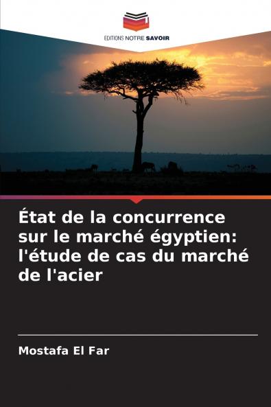 État de la concurrence sur le marché égyptien