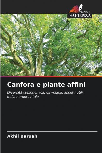 Canfora e piante affini