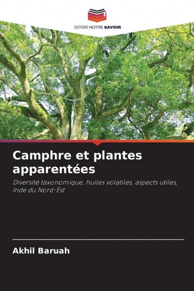Camphre et plantes apparentées