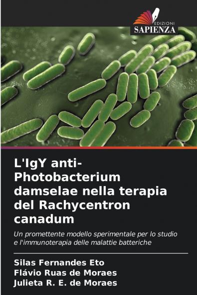 L'IgY anti-Photobacterium damselae nella terapia del Rachycentron canadum