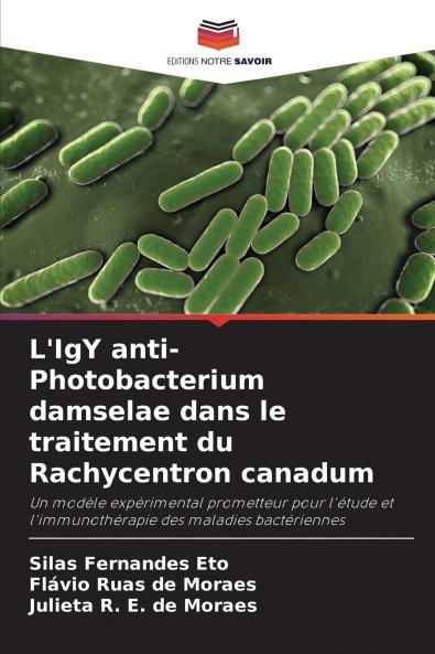 L'IgY anti-Photobacterium damselae dans le traitement du Rachycentron canadum
