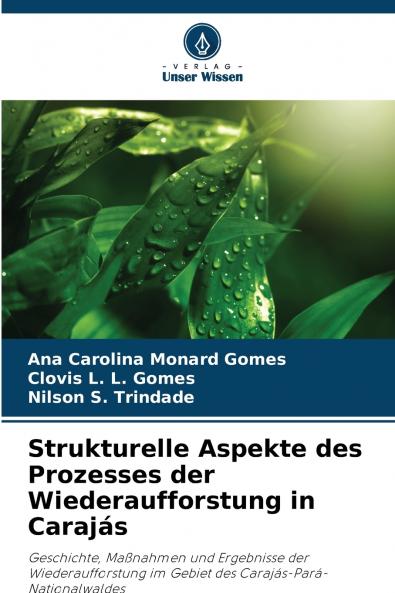 Strukturelle Aspekte des Prozesses der Wiederaufforstung in Carajás