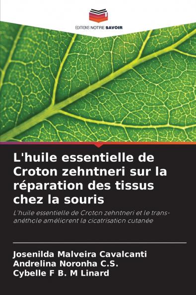 L'huile essentielle de Croton zehntneri sur la réparation des tissus chez la souris