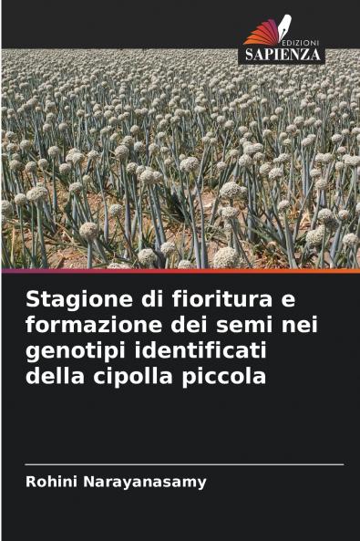 Stagione di fioritura e formazione dei semi nei genotipi identificati della cipolla piccola